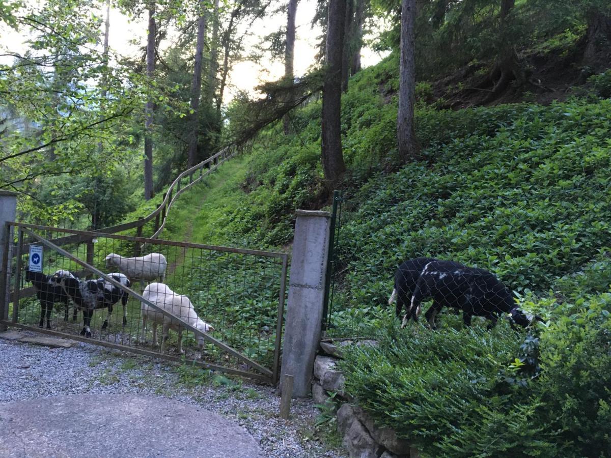 Pointhaeusl Villa Pfarrwerfen Bagian luar foto
